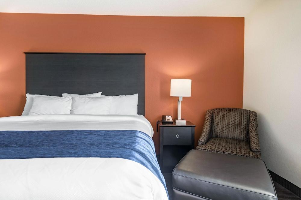 Comfort Inn Wings Stadium Kalamazoo Exterior foto