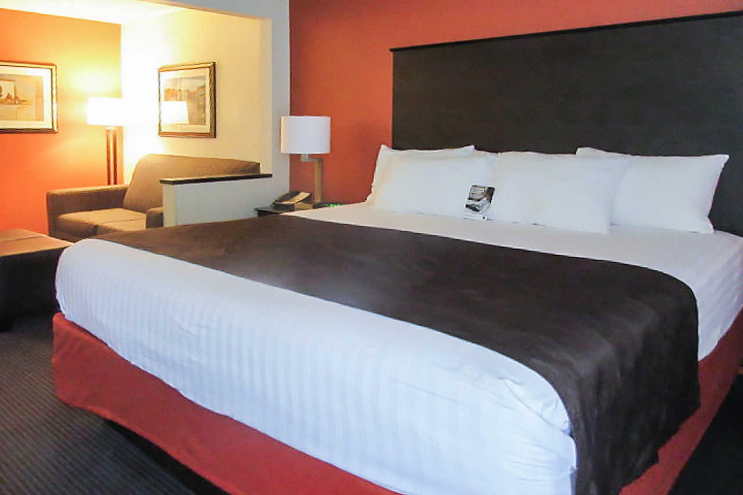 Comfort Inn Wings Stadium Kalamazoo Exterior foto